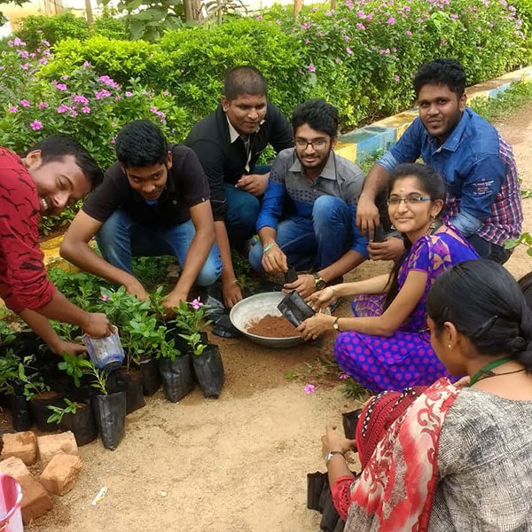 Tree Sapling Preparation